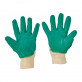 Manusi latex COOT, Cerva