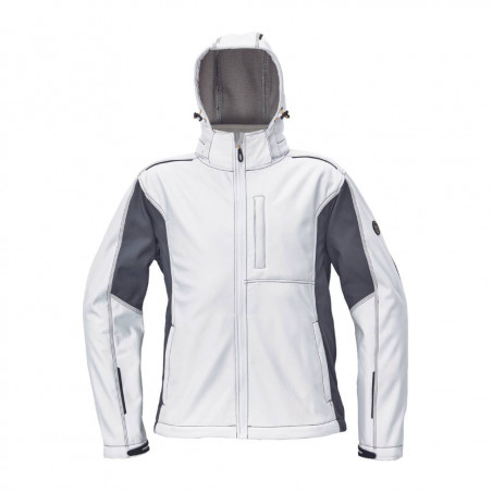 Jacheta DAYBORO, Cerva