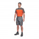 Tricou DESMAN, Cerva