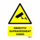 Indicator Supraveghere video