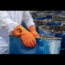 Manusi chimice FLAMINGO, Cerva