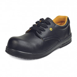 Pantofi de lucru RAVEN ESD O1 SRC, Cerva