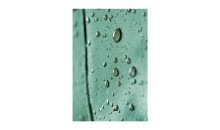 Cizme de pescuit GLENROE 700A, Cerva